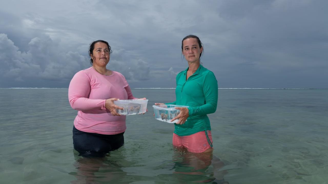 Two women in a shallow ocean, holding containers, with overcast skies in the background.