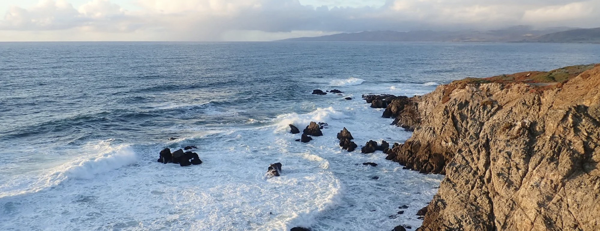 Image of beach at Bodega Bay