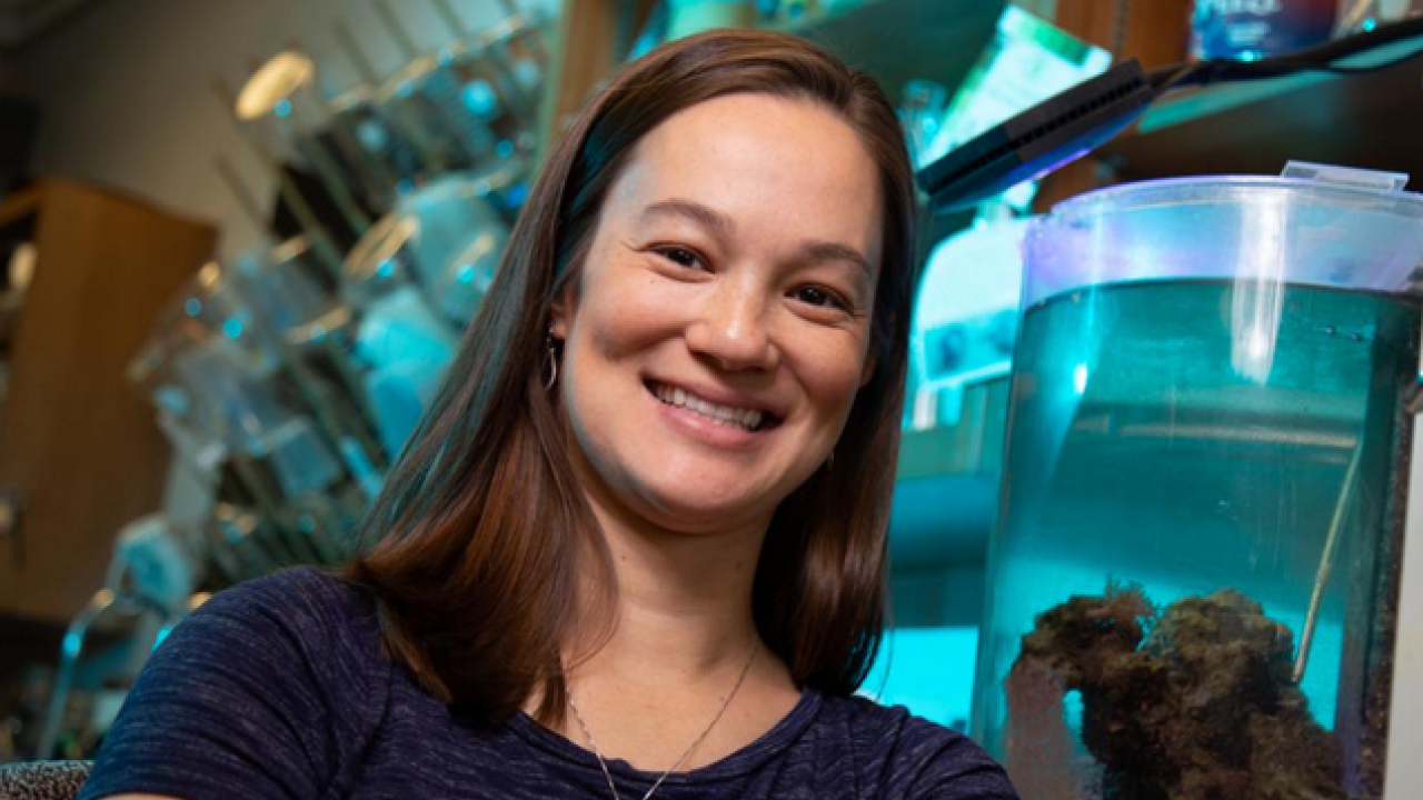 As an Alfred P. Sloan Fellow, Assistant Professor Rachael Bay will research thermal tolerance in corals, which is becoming increasingly important as ocean temperatures shift. As an Alfred P. Sloan Fellow, Assistant Professor Rachael Bay will research thermal tolerance in corals, which is becoming increasingly important as ocean temperatures shift.