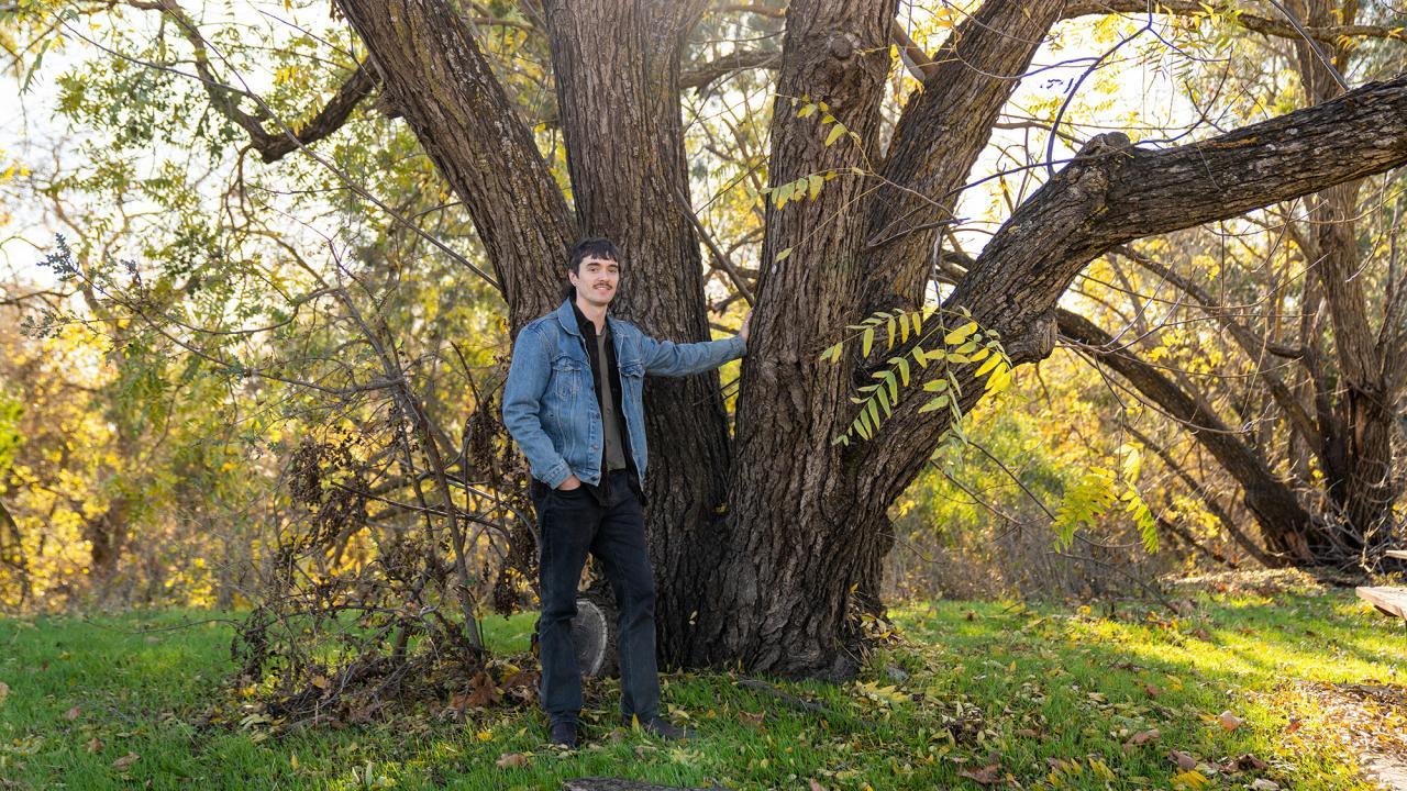 A person in a denim jacket leans casually against a large tree with multiple trunks, surrounded by grass and autumn foliage in a sunlit outdoor setting.