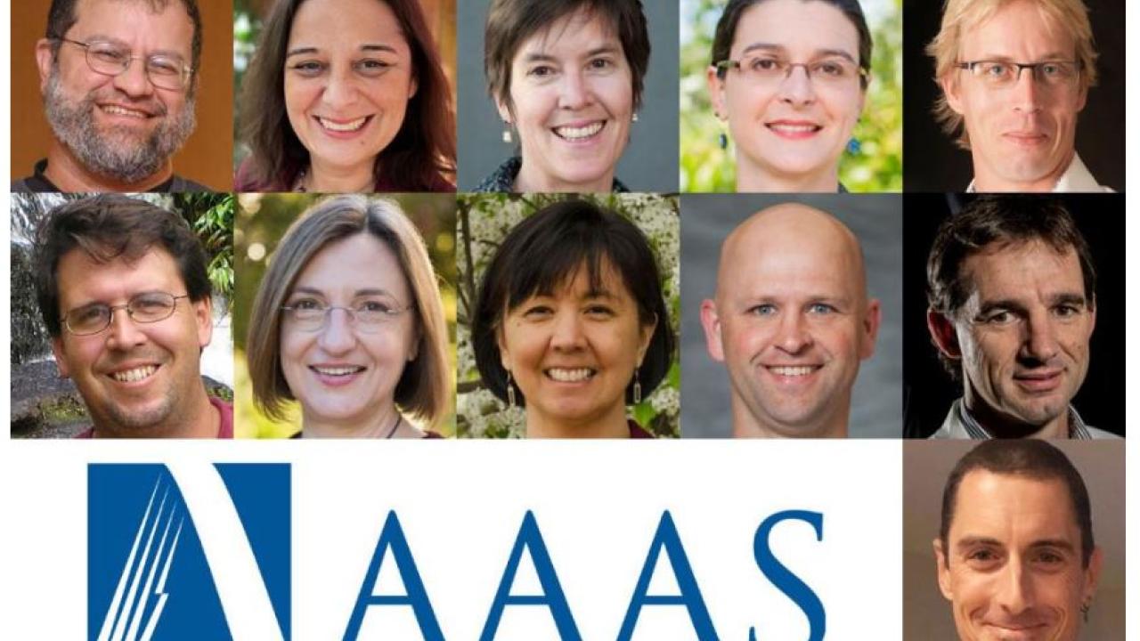 AAAS Faculty