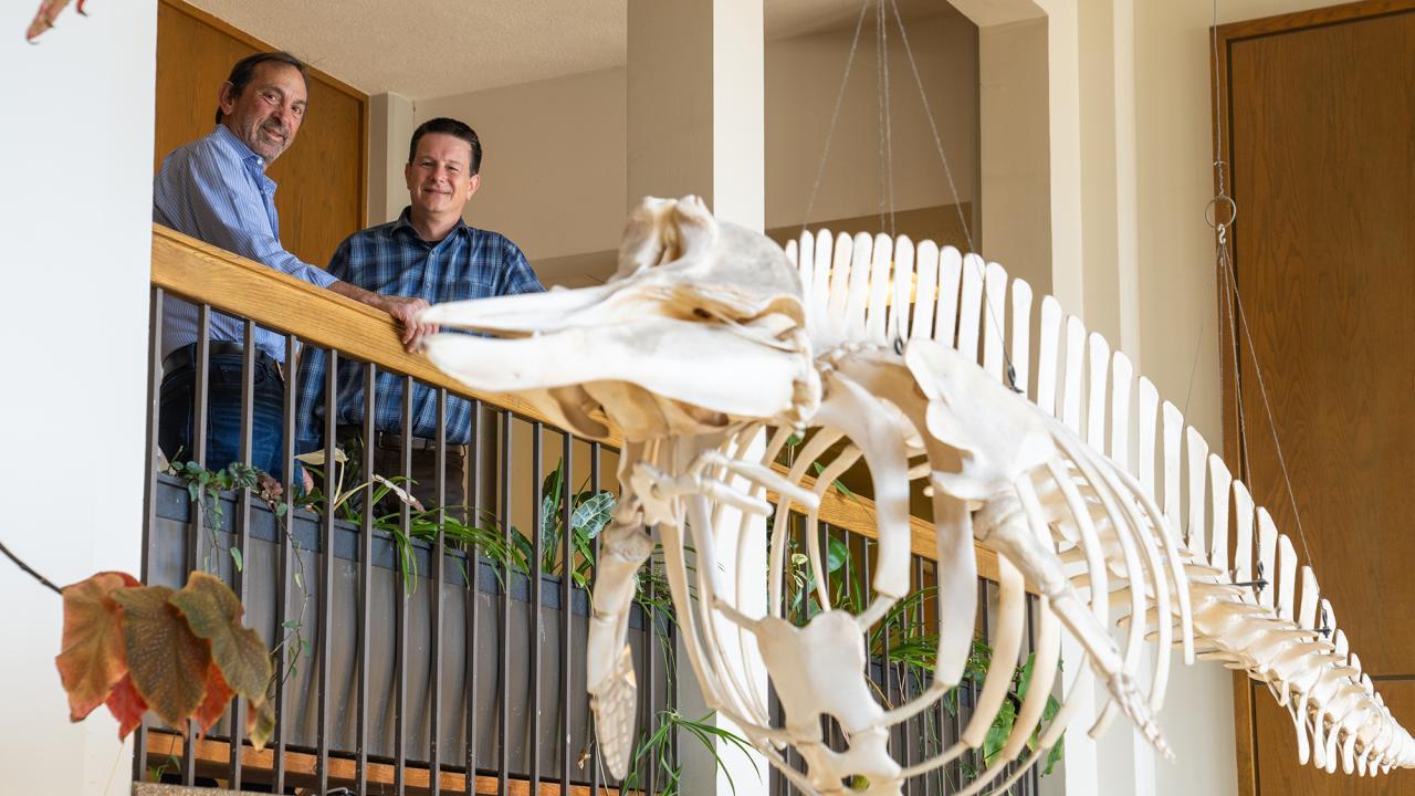 Jay Stachowicz and Rick Grosberg in Storer Hall