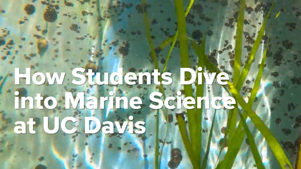 Marine research