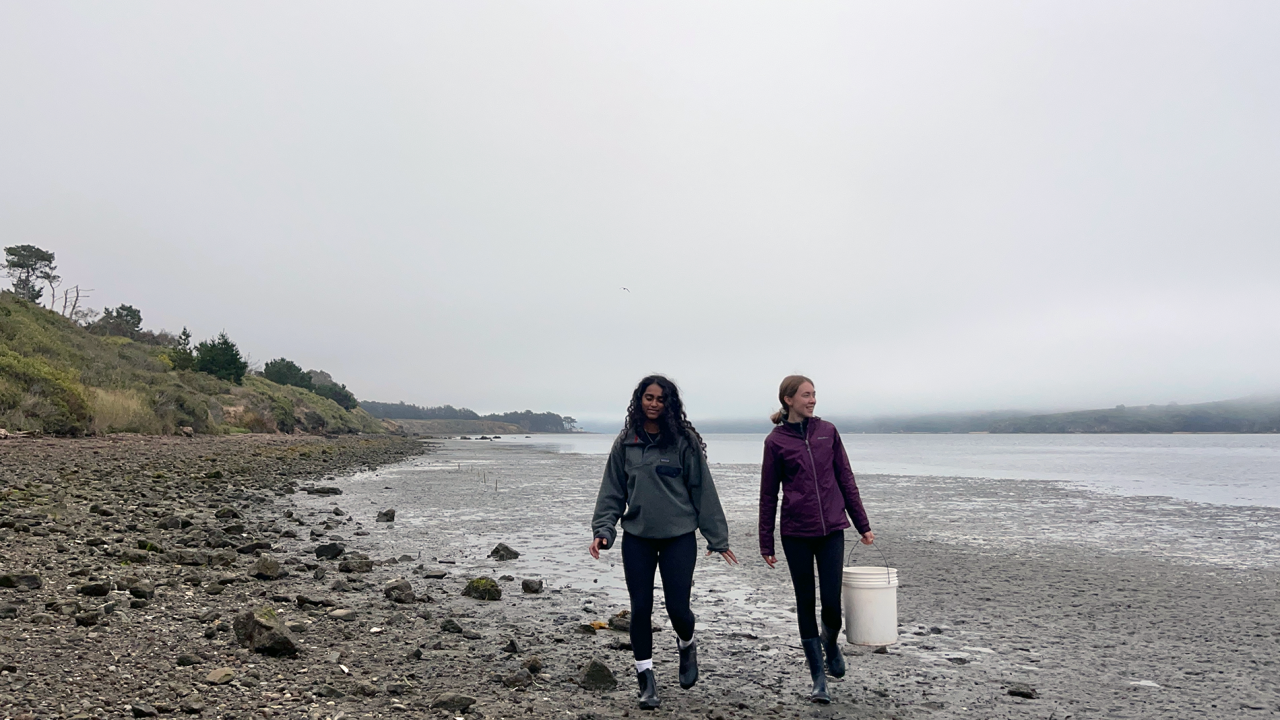 EVE Scholars Aishu Santosh and Caroline Donohew conducting fieldwork in Tomales Bay.