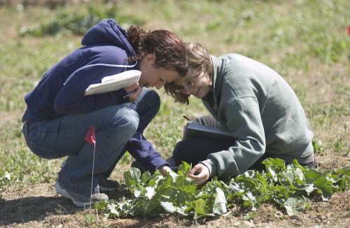 UC Davis Course EVE 180, Experimental Ecology & Evolution in the Field - Photo Credit: Cara Allen