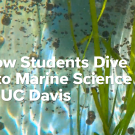 Marine research
