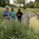 Students getting ready to sample water in the Arboretum Waterway as part of the Wild Davis course.
