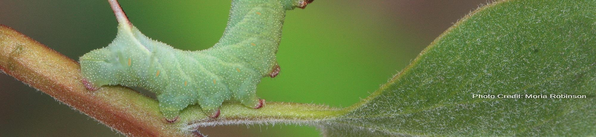 9865