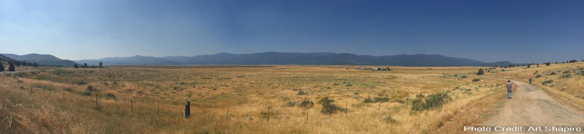 Sierra Valley Panaorma